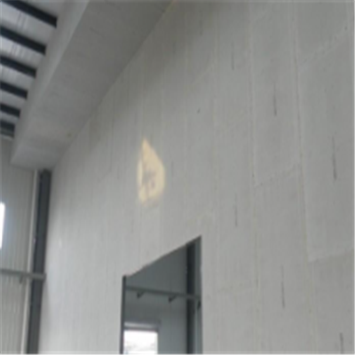 琼山宁波ALC板|EPS加气板隔墙与混凝土整浇联接的实验研讨